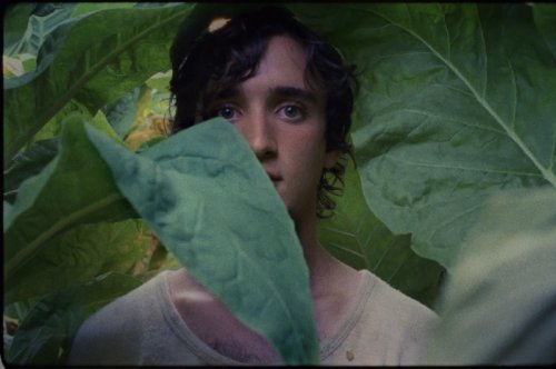 Image from Happy As Lazzaro