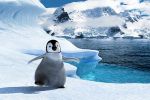 Image from Happy Feet