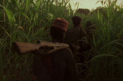 Image from Concerning Violence