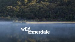 Wild Ennerdale – Nature