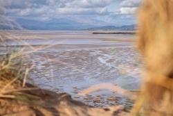 Sandscale Haws - A Home on the Sand