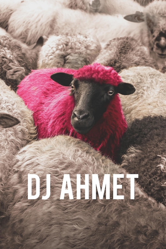 Read more about DJ Ahmet