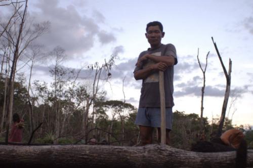 Read more about Tawai - A Voice from the Forest