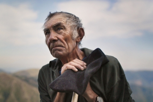 Read more about The Shepherd And The Bear