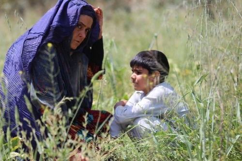 Read more about Toyaneh