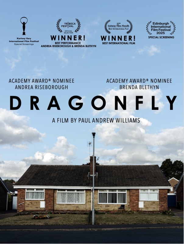 Poster for Dragonfly